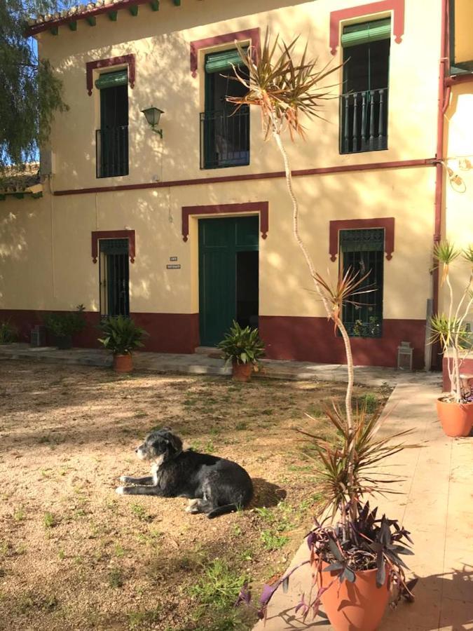 Casona Villa Paquita - Lujosa Villa De 1913 Ondara Ngoại thất bức ảnh